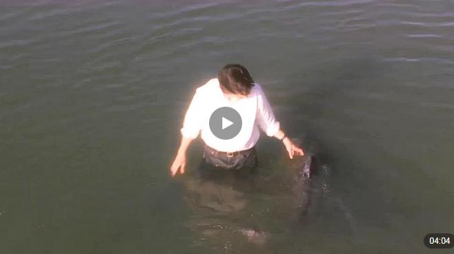 �����ؿ��Ķ�ʮ����Ӱ �ı���������۵ĵ�Ӱ�Ƽ�